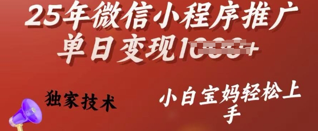 25年微信小程序推广单日变现多张，独家技术，小白宝妈轻松上手【揭秘】-海鸥团